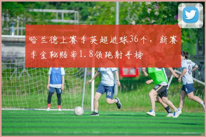 哈兰德上赛季英超进球36个，新赛季金靴赔率1.8领跑射手榜