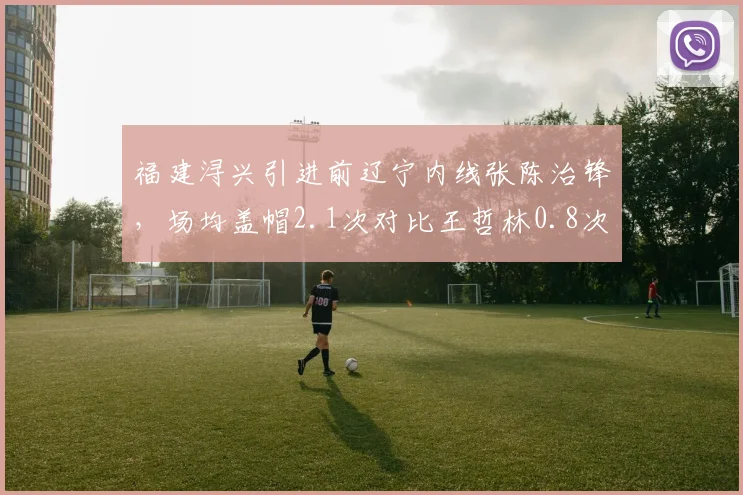 福建浔兴引进前辽宁内线张陈治锋，场均盖帽2.1次对比王哲林0.8次防守提升